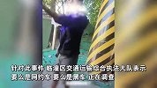 游客称包车去景点遭司机强制消费，赶游客下车还拿石头威胁：我砸死你