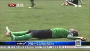 世界杯-14年-格隆外传·品味国家队输球滋味-新闻