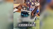 大二男生做桌面电子狗走红：DIY材料仅需一百多元，视频阅读量超1100万