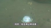 男子潜水发现海底有11个密封坛，默默将坛子转移到深水区：怕吓到潜水的新手