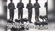 印度“机器狗”参加阅兵！体型笨重行动迟缓还差点摔倒，造价超3万美元