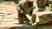 为啥总有人问我，会打篮球吗