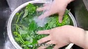 炒红薯叶，切记直接下锅炒，教你正确做法，颜色翠绿不发黑，真香