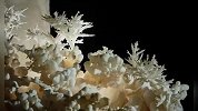 贵州现4.8亿年“地下水晶宫”！上千石钟乳如冰晶森林美到窒息