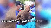 城管执法时和摆摊大爷起冲突，大爷情绪激动用砖头砸伤城管，官方回应