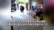 男子进车库遇黑熊带娃来访，一系列操作堪称教科书级别，视频曝光