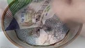 这么做酥肉无敌，到现在还没吃过比这更好吃的，每次吃完都不过瘾