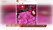 欧阳娜娜陈飞宇再添恋爱石锤，情人节暗戳戳告白对方