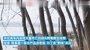 将农药拌入水草，团伙毒杀181只野鸭获利9万被公诉