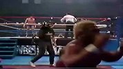 WWE-14年-1987年《摔角狂热3》中-全场