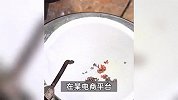 女子18元网购150克“淘金沙”，结果淘出的“金”全烧黑：商家承诺必出2克真金