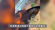 90后小伙摆摊卖炒饭去年净赚50万！本人回应收入质疑：数据真实，不怕打假