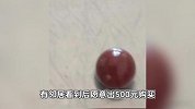 女子买28元河蚌疑发现红色孔克珠：邻居要花500元买，没卖，留着自己做戒指