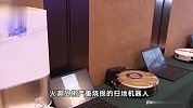 夫妻返家惊呆：客厅一片狼藉，猫咪死亡！“凶手”竟是它