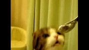 搞笑
