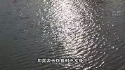男子和朋友水库炸鱼，自己却意外身亡，村干部：送货途中拿炮炸鱼