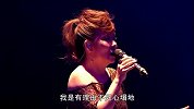辛晓琪-承认(快乐天堂2010滚石30演唱会)