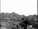 李双双