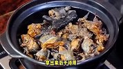一碗养身又暖心的灵芝炖乌鸡，简单做法让你轻松掌握！