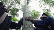 二更视频-20160821-一家三代人守护200多年的手艺，亮相巴黎惊艳世界！