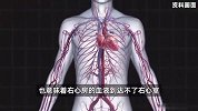 女孩身患4种高危先心病，却互相修复形成新循环，医生感叹“生命奇迹”