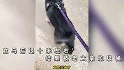 女子遛狗吓哭5米外小孩，结果被老太拿垃圾桶追砸，吓得边哭边跑