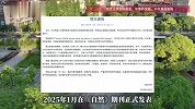 同济大学通报教师论文造假事件：院长免职降级，第一作者被解聘