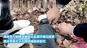 女子采摘野蔷薇误入捕兽陷阱，武汉消防切断钢绳营救