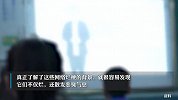 人民网评鸡你太美是恶俗烂梗，不能让其毒害孩子