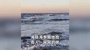 烟台大风天过后全是硬货！海肠海参爆网随地捡，有人一网网的捞