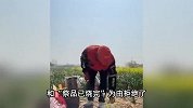 女大学生499元找人代祭扫，竟搞“乌龙”上错坟拒退钱