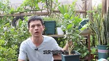 买回来的盆栽茉莉花，在这里“动一动手”，花才开得多