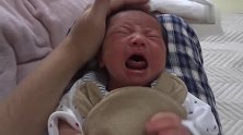 刚出生10天的小宝宝，哭得歇斯底里，奶瓶一塞，瞬间没声了