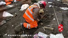伦敦发现一处古墓，黑暗历史被揭开，学者：难怪欧洲人如此强壮！
