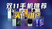 不当冤种，双11手机怎么选？