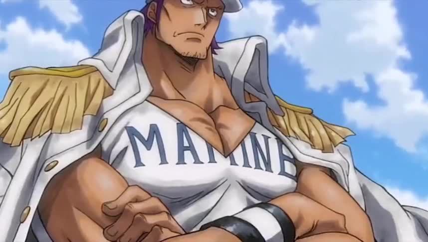 【海贼王】致敬泽法老师,他的一生是何其荣耀,又是何其悲惨