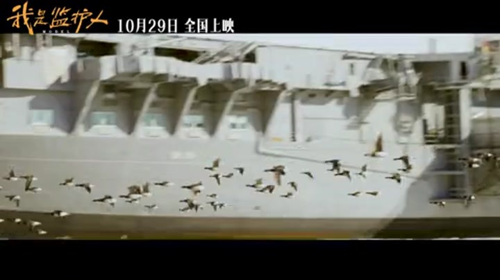 我是监护人(国际预告 )