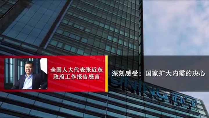 张近东谈政府工作报告