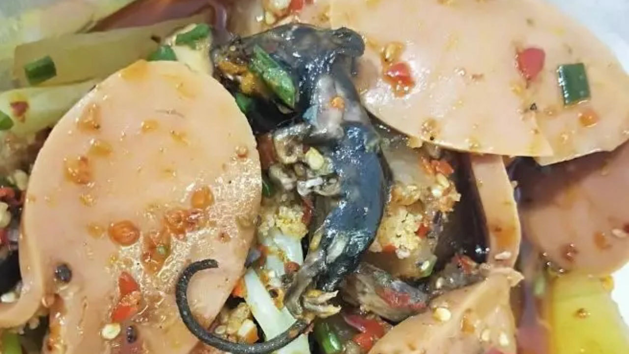 巨恶心!女子点冒菜吃出整只煮熟的老鼠 商家竟栽赃外卖哥