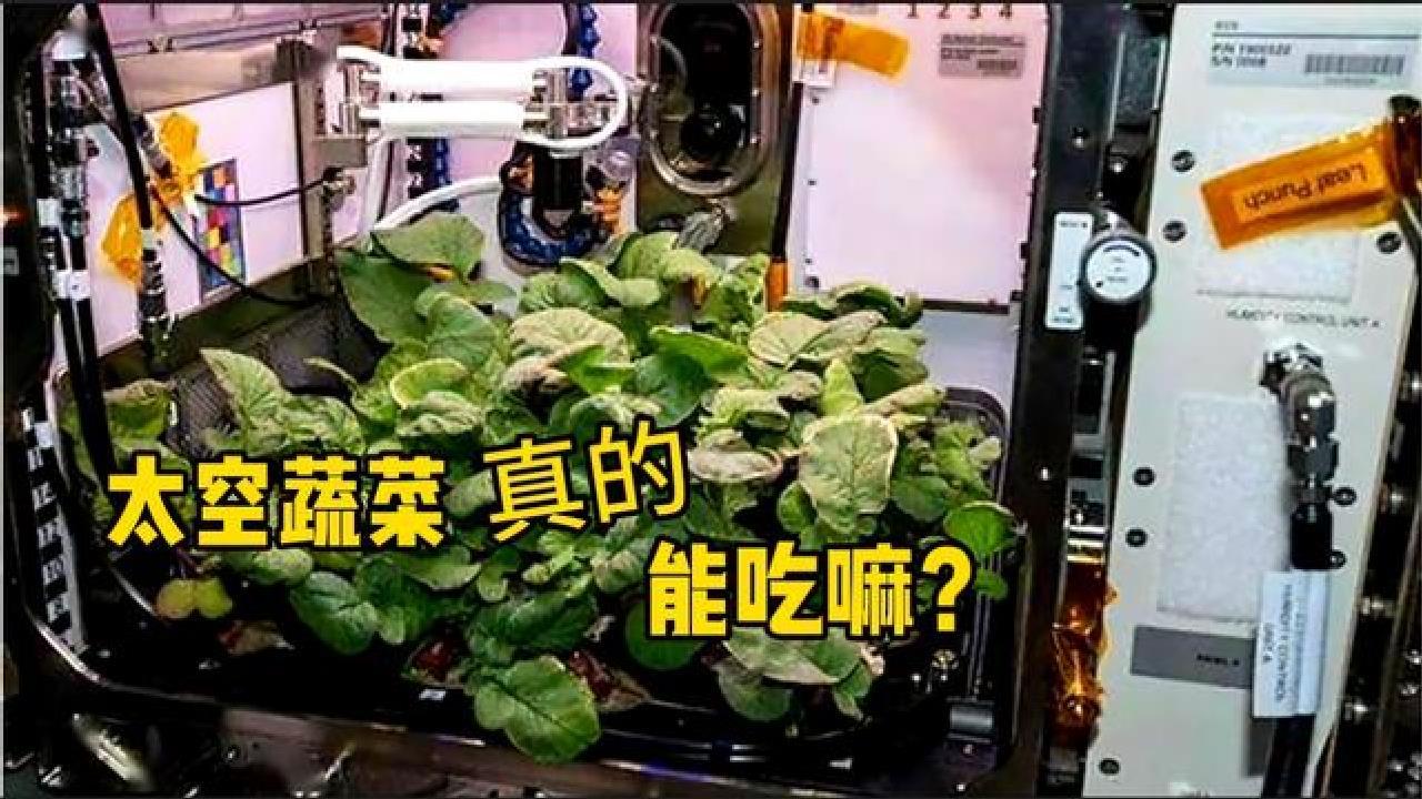 NASA收获第一批“太空萝卜”