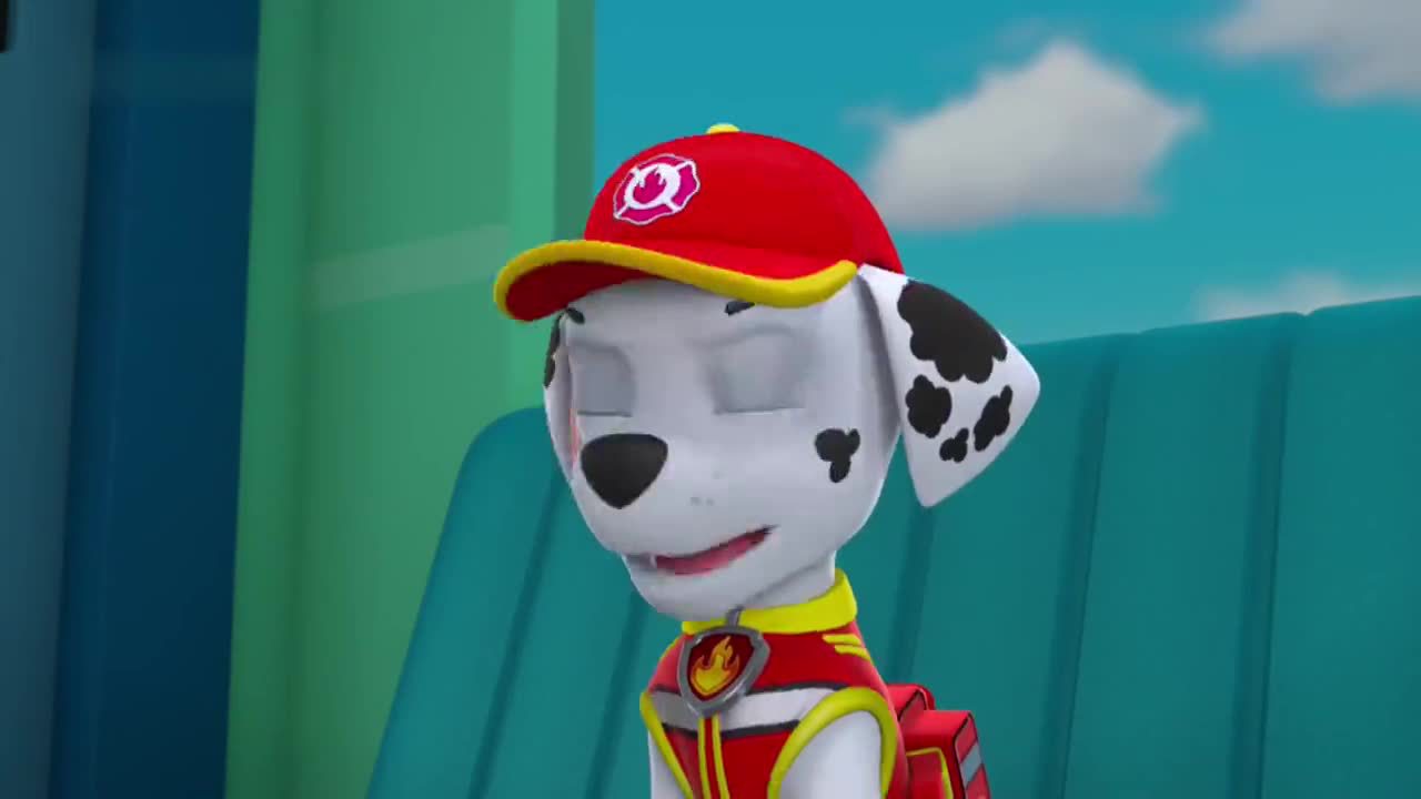 汪汪队:韩丁那的脚趾受伤了,汪汪队要帮助他,看他装到什么时候
