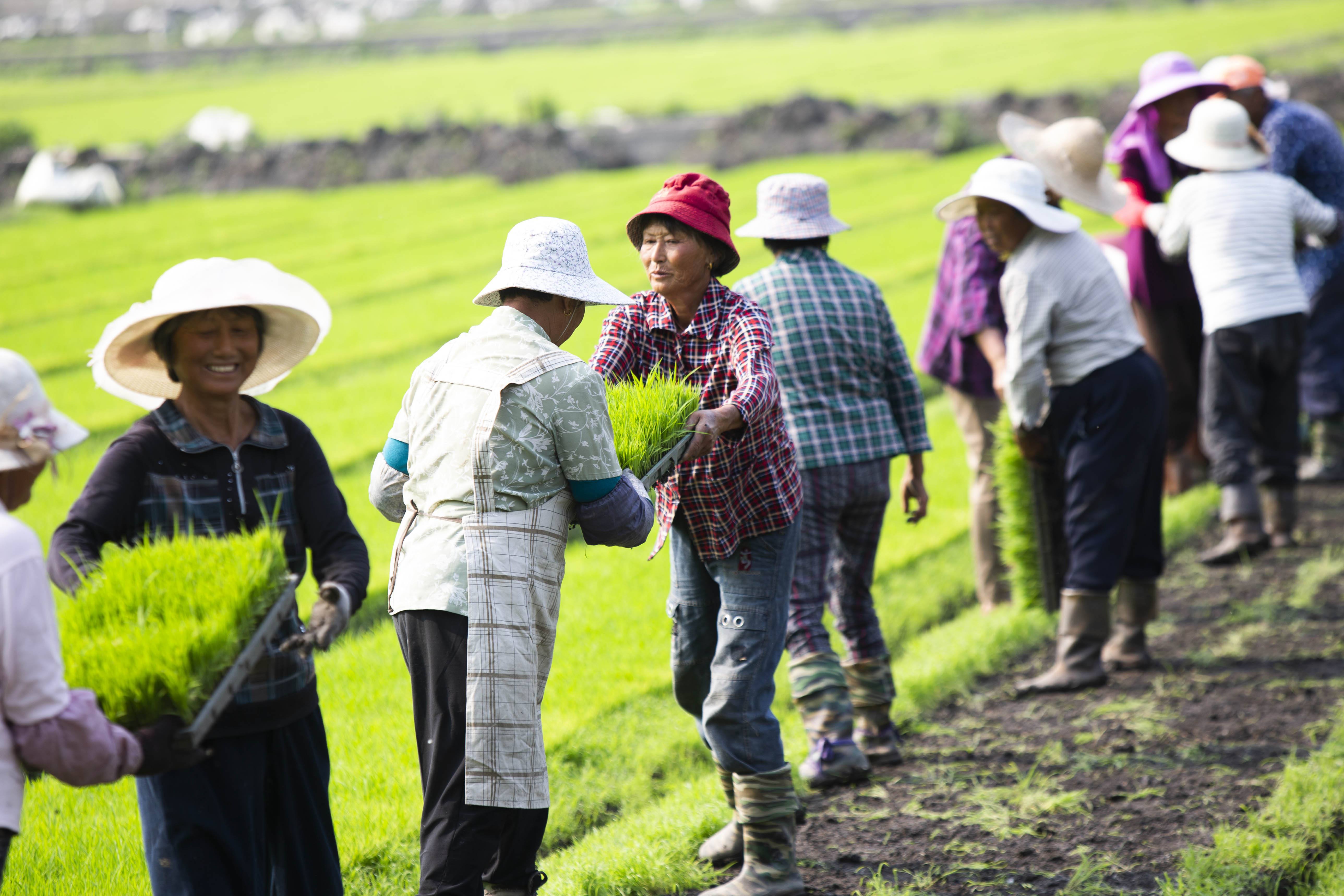 农民又是种地又是打工,为啥手里还是没钱?真实情况让人心酸