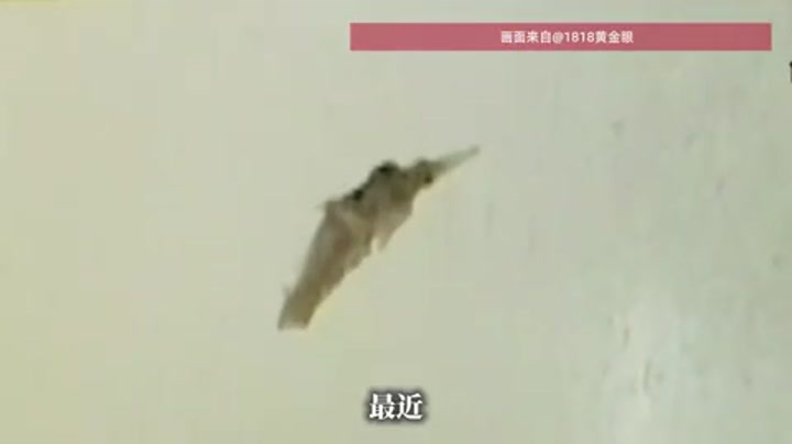 女子喝香飘飘奶茶20多年