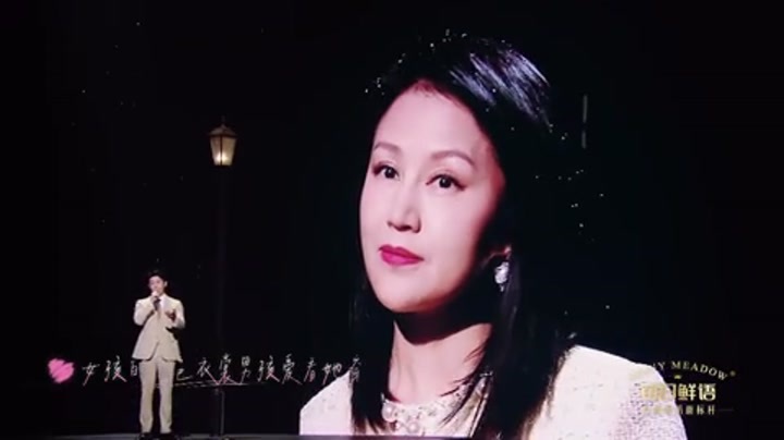 陆毅 鲍蕾《慢慢喜欢你》