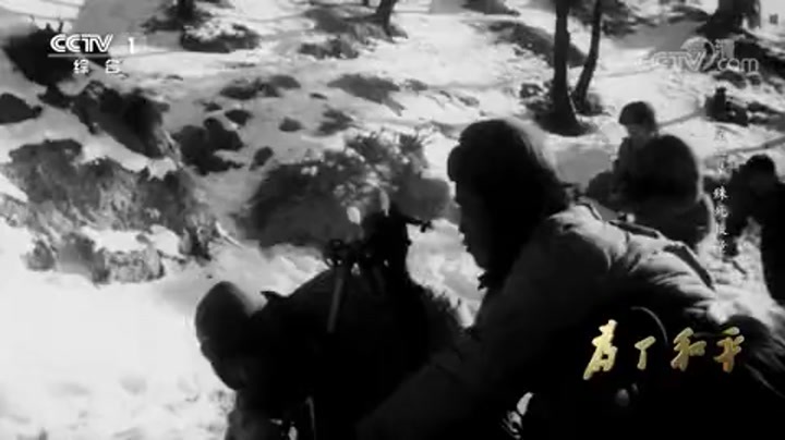 《为了和平》第二集