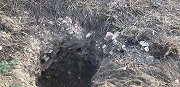 当地警方通报山东埋婴案：婴儿祖父涉嫌犯罪已被刑拘