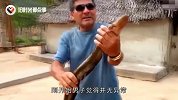 男子作死徒手抓电鳗，不料电鳗开始放电，镜头记录惊险一幕