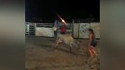 剽悍！美女与一头牛搏斗 一招将其制服引观众欢呼