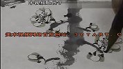 梅花画法（特长教育）