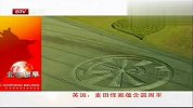 英国发现麦田怪圈专家称其暗藏圆周率